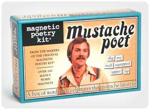magnetic poetry kit