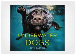underwater dogs