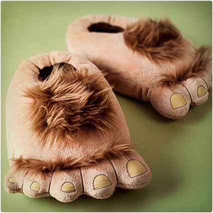 slippers from the shire