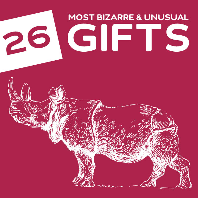26 Most Bizarre & Unusual Gifts of 2013- who knew these even existed?!