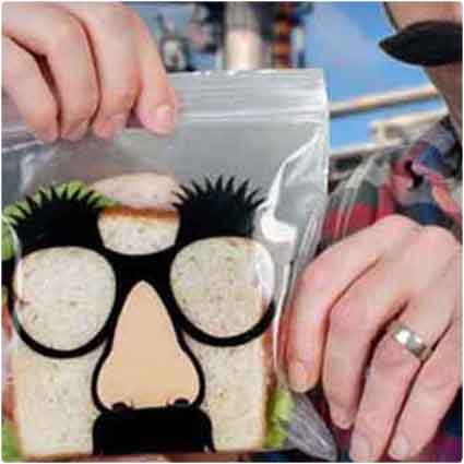 Lunch Disguise Bags