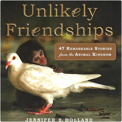 Unlikely Friendships Book