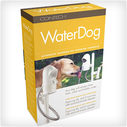 WaterDog Automatic Pet Drinking Fountain