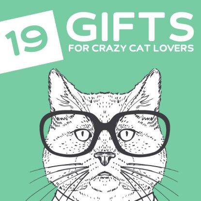 19 Funny Gifts for Cat Lovers- a.k.a Crazy Cat Ladies (and guys).