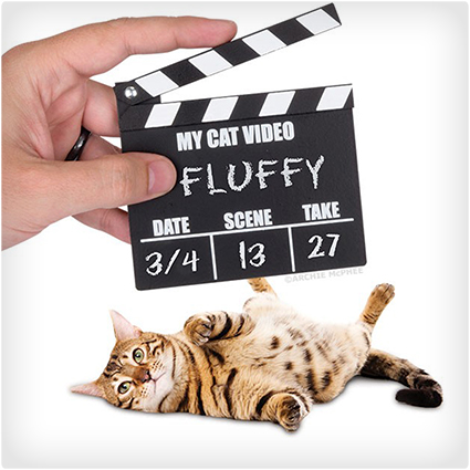 Cat Video Clapper Board