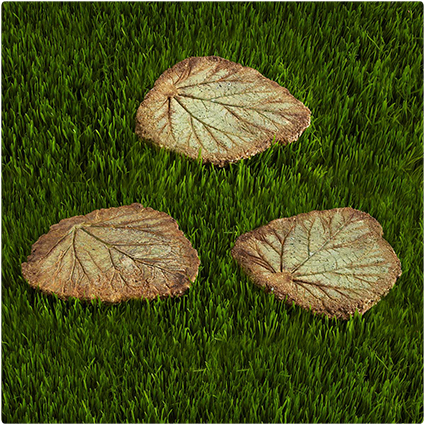 Leaf Stepping Stones