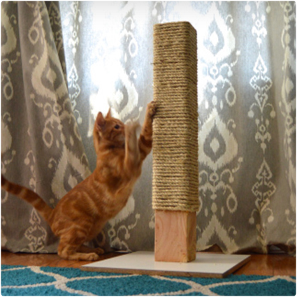 Rope Scratching Post