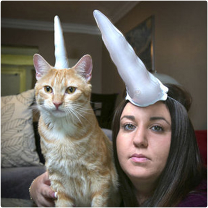 Unicorn Horn for Cats