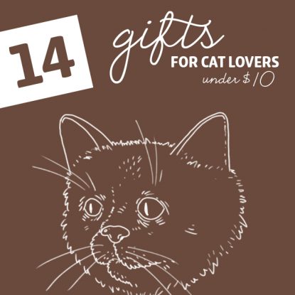 14 Cool Gifts for Cat Lovers- under 10 dollars.