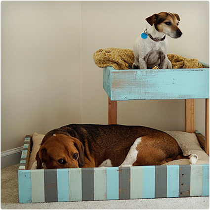 Double Dog Bed