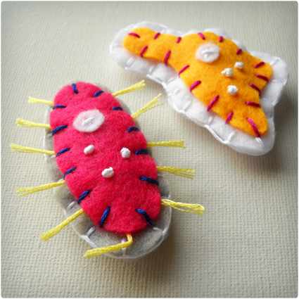 Microbe Magnets