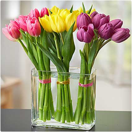 Modern-Tulips