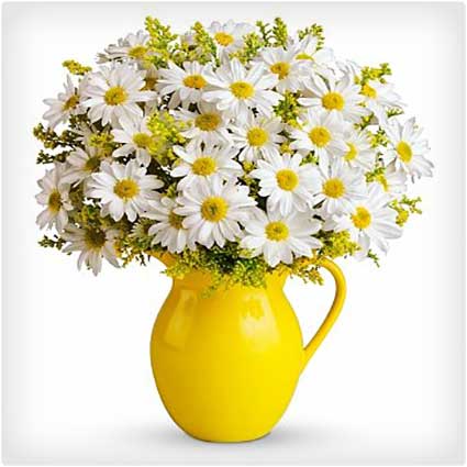 Sunny-Day-Pitcher-of-Daisies