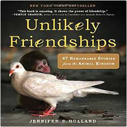 Unlikely-Friendships-Book