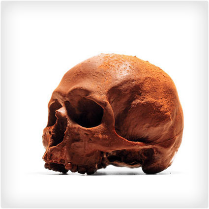 Anatomically Correct Chocolate Skulls