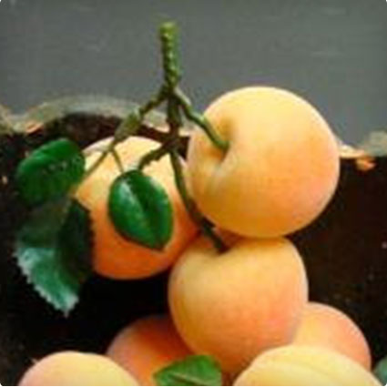 Artificial Peach Clusters