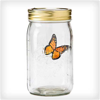 Animated Butterfly in a Jar