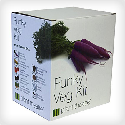 Funky Veg Growing Kit