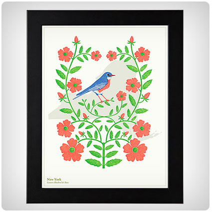 Birds and Blooms Individual States