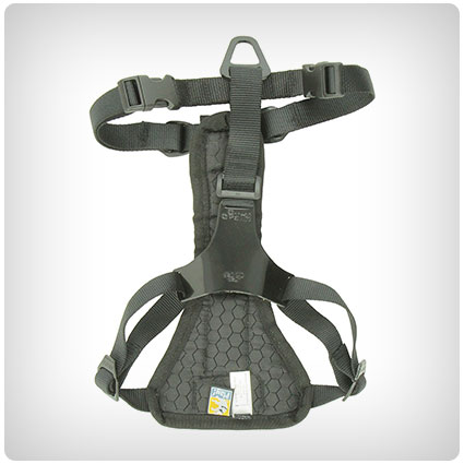 Kurgo Dog Harness with Camera Mount