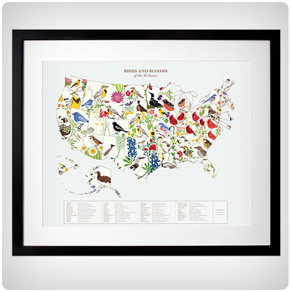 Birds and Blooms Art Map