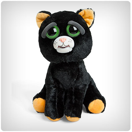 Feisty Pets Halloween Black Cat