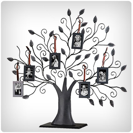 Klikel Bronze Metal Family Tree with Hanging Picture Photo Frames
