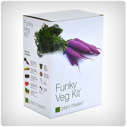 Plant Theatre Funky Veg Kit Gift Box