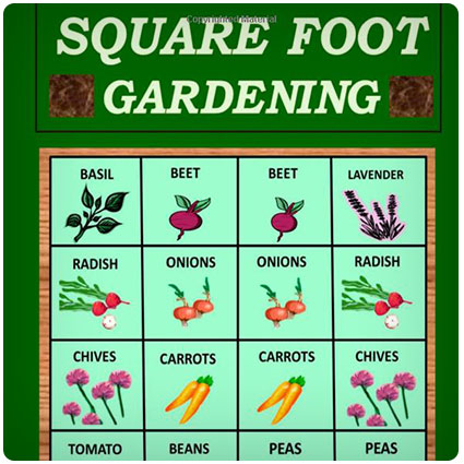 Square Foot Gardening: How To Grow Healthy Organic Vegetables The Easy Way