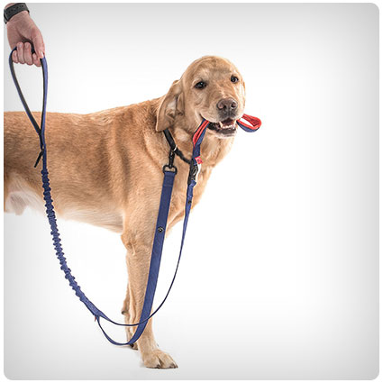 We For Dogs Two Handled Leash