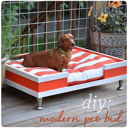 Diy Modern Pet Bed