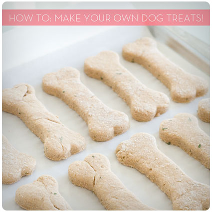 How To: Make Your Own Diy Dog Treats