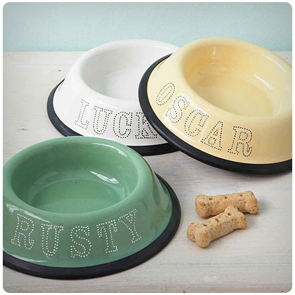 Personalized Dot-painted Pet Bowls
