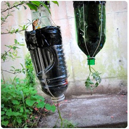 Make A Topsy Turvey Planter From A Plastic Soda Bottle