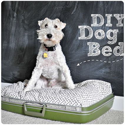 Diy Suitcase Dog Bed