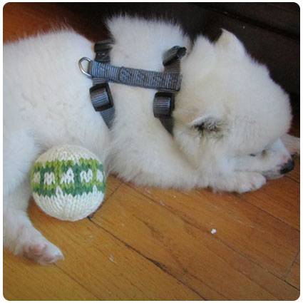 Knit Dog Toy