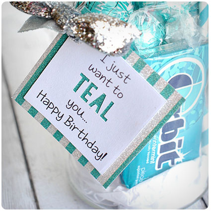 I Just Want To Teal You Gift Idea For Friend