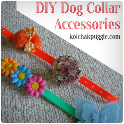 Ridiculously Easy Diy Dog Collar Accessories
