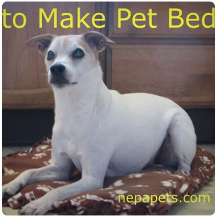 Easy to Make Pet Bed