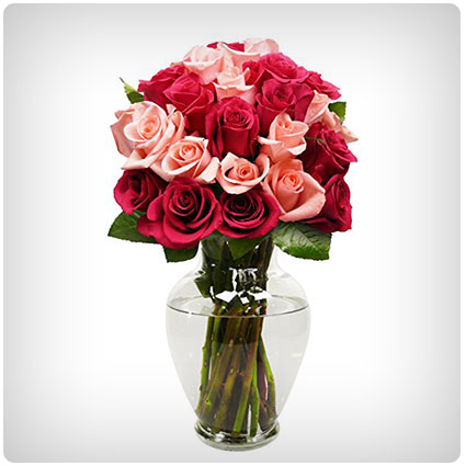 Benchmark Bouquets 2 Dozen Blushing Beauty Roses