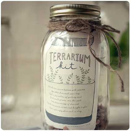 Diy Gift: Terrarium Kit