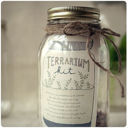 Diy Gift: Terrarium Kit