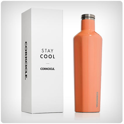 Corkcicle Canteen Water Bottle & Thermos