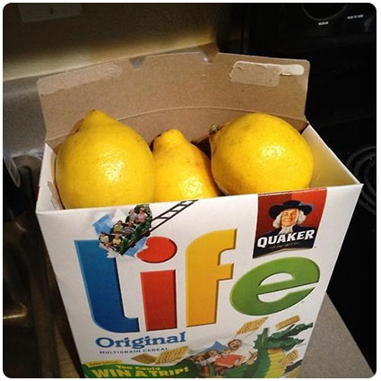 When Life Gives You Lemons Idea