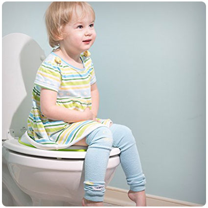 Best Portable Toddler Toilet Training Seat for Kids