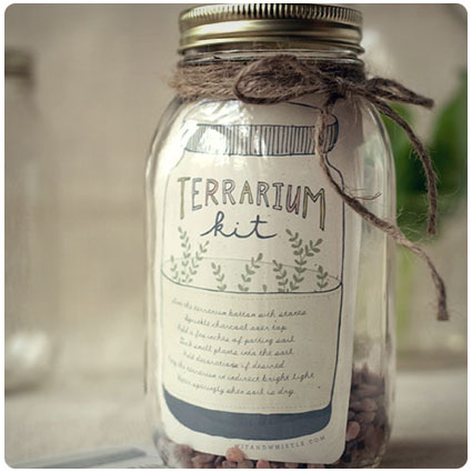 Diy Terrarium Kit