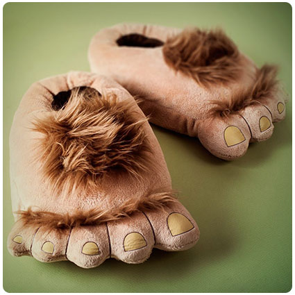 Furry Feet Slippers