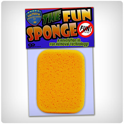 The Fun Sponge