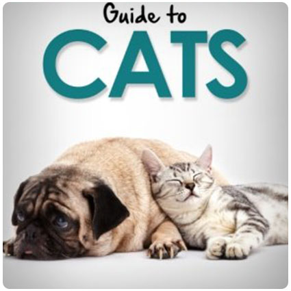 A Dog's Guide to Cats