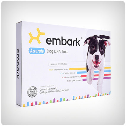 Embark Dog DNA Ancestry Test Kit